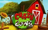 Crazy Cows